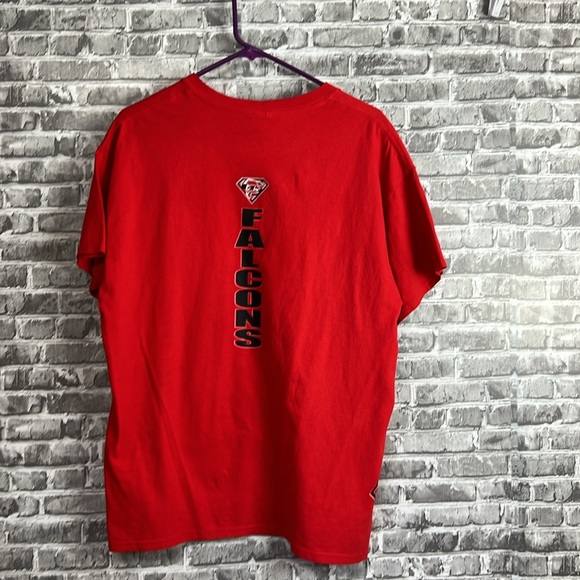 Falcons - Picture 6 of 9